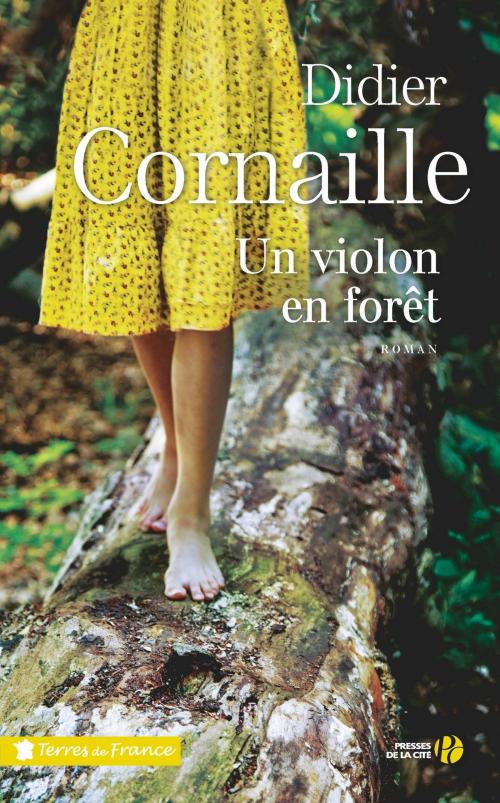 Cover of the book Un violon en forêt by Didier CORNAILLE, Place des éditeurs
