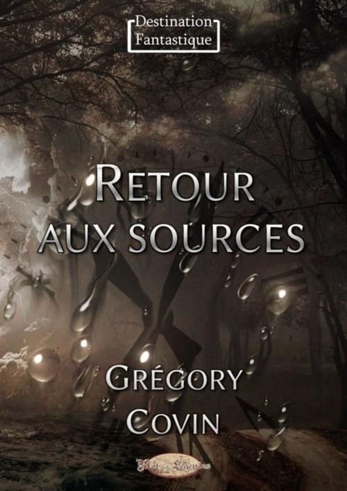 Cover of the book Retour aux sources by Grégory Covin, Mots & Légendes