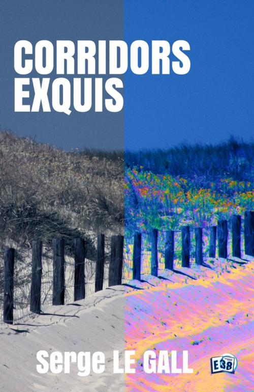 Cover of the book Corridors exquis by Serge Le Gall, Les éditions du 38