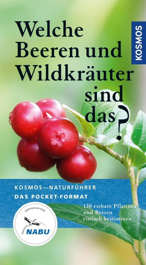 Cover of the book Welche Beeren und Wildkräuter sind das? by Eva-Maria Dreyer, Franckh-Kosmos Verlags-GmbH & Co. KG