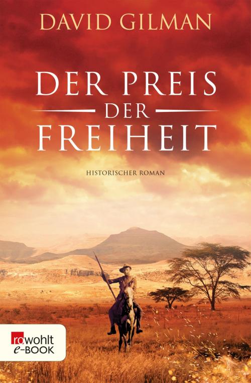 Cover of the book Der Preis der Freiheit by David Gilman, Rowohlt E-Book