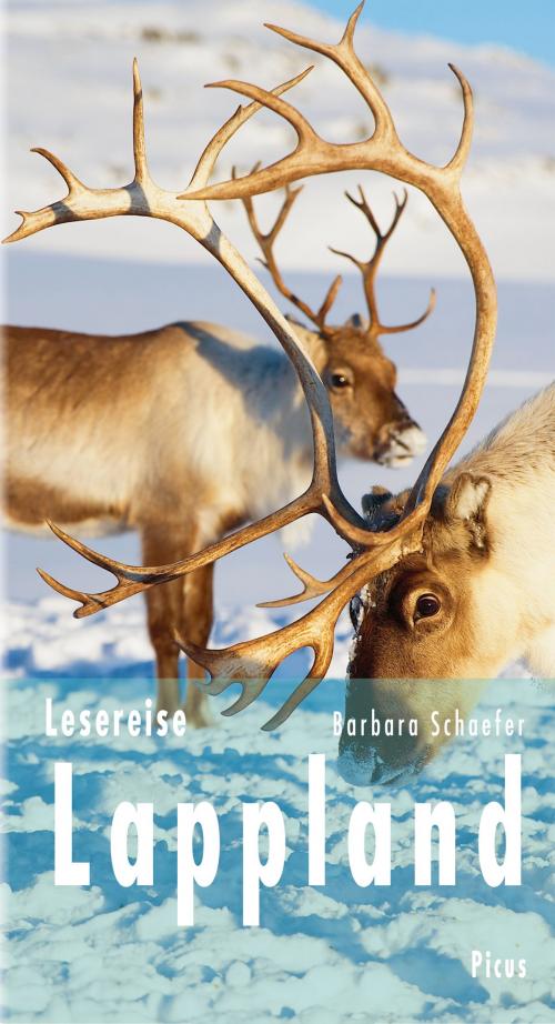 Cover of the book Lesereise Lappland by Barbara Schaefer, Picus Verlag