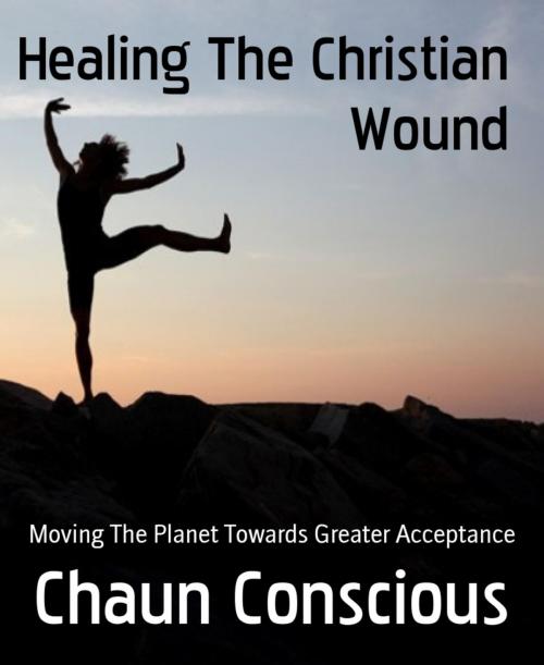 Cover of the book Healing The Christian Wound by Chaun Conscious, BookRix