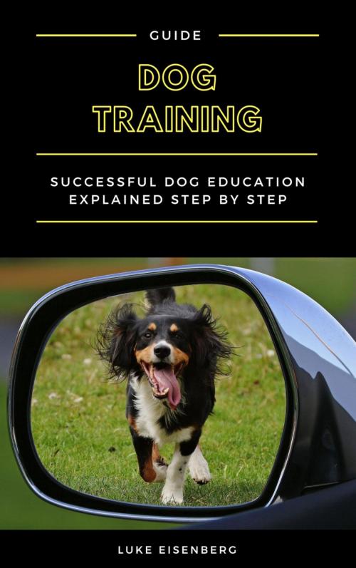 Cover of the book Dog Training by Luke Eisenberg, epubli