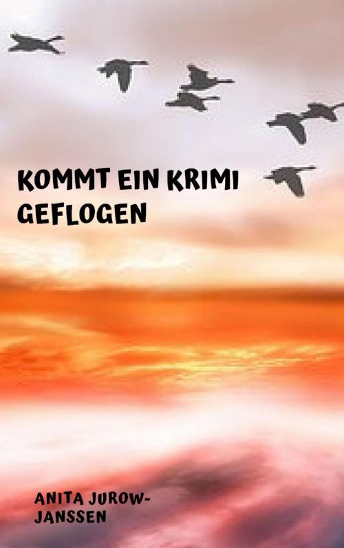 Cover of the book Kommt ein Krimi geflogen by Anita Jurow-Janßen, epubli