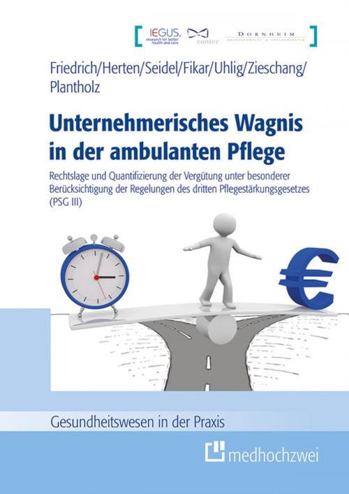 Cover of the book Unternehmerisches Wagnis in der ambulanten Pflege by Frierich Detlef, Benjamin Herten, Jonas Seidel, Michael Fikar, Michael Uhlig, Michael Zieschang, Markus Plantholz, medhochzwei Verlag