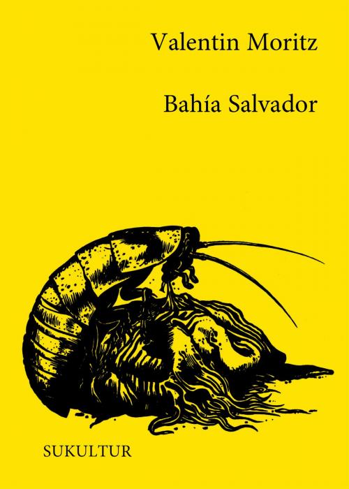 Cover of the book Bahía Salvador by Valentin Moritz, Jan Franke, SuKuLTuR
