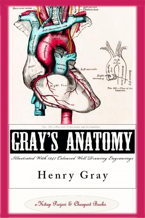 Cover of the book Gray’s Anatomy (Illustrated With 1247 Coloured Well Drawing Engrawings) by Henry Gray, eKitap Projesi