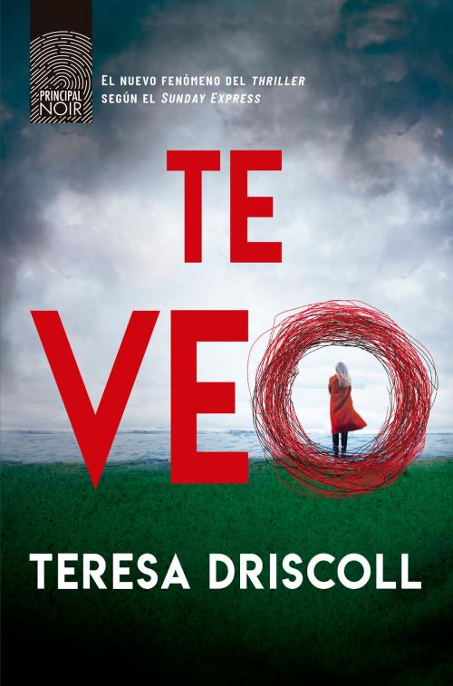 Cover of the book Te veo by Teresa Driscoll, Principal de los Libros