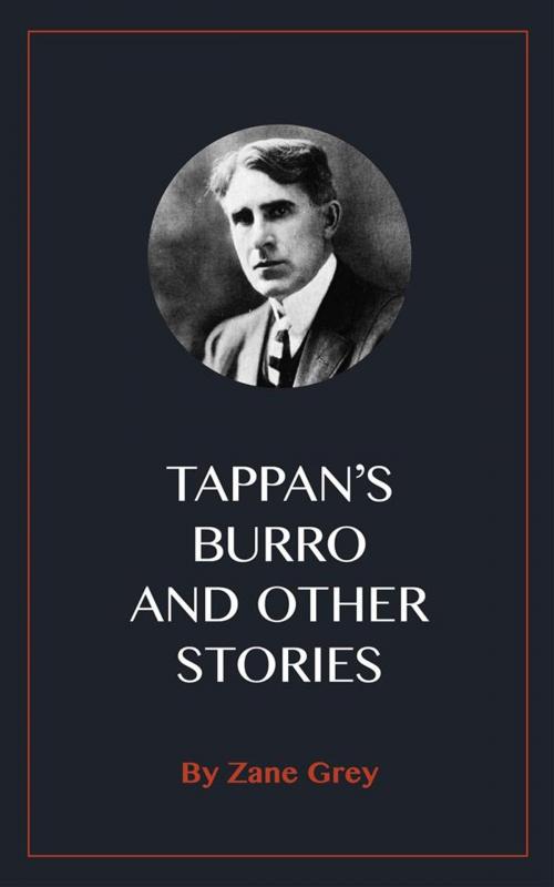 Cover of the book Tappan's Burro and Other Stories by Zane Grey, Blackmore Dennett