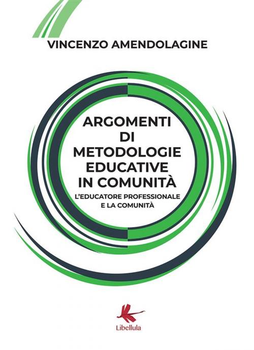 Cover of the book Argomenti di metodologie educative in comunità by Vincenzo Amendolagine, Libellula Edizioni