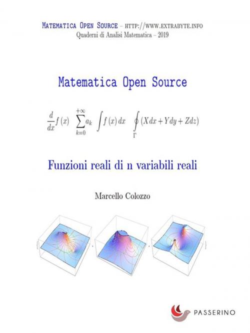 Cover of the book Funzioni reali di n variabili reali by Marcello Colozzo, Passerino