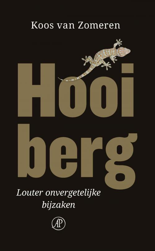 Cover of the book Hooiberg by Koos van Zomeren, Singel Uitgeverijen