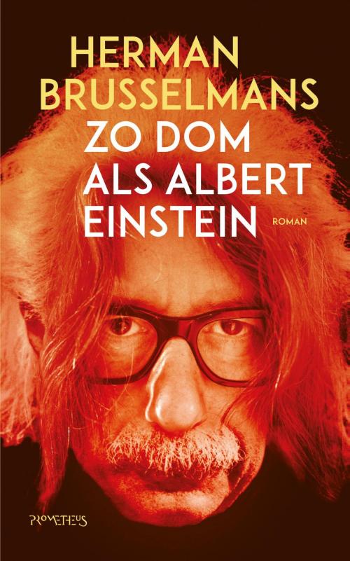 Cover of the book Zo dom als Albert Einstein by Herman Brusselmans, Prometheus, Uitgeverij