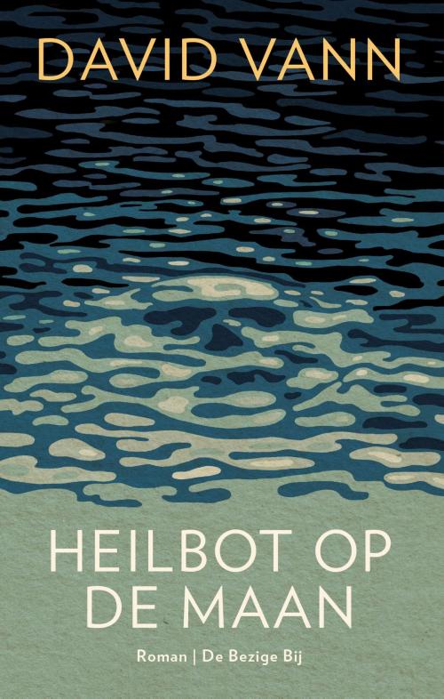Cover of the book Heilbot op de maan by David Vann, Bezige Bij b.v., Uitgeverij De