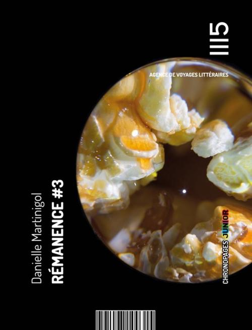 Cover of the book Rémanence #3 by Danielle Martinigol, Les Éditions Mille Cent Quinze