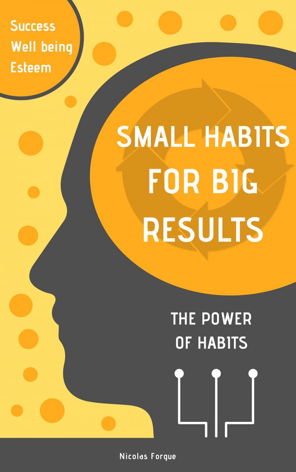 Big bigCover of Small habits for big resultats