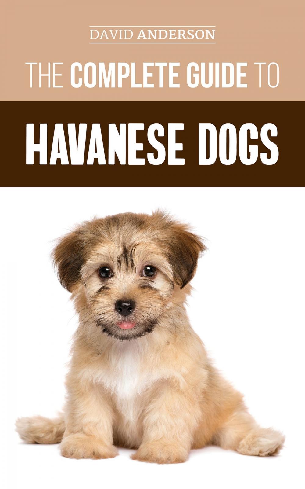 Big bigCover of The Complete Guide to Havanese Dogs