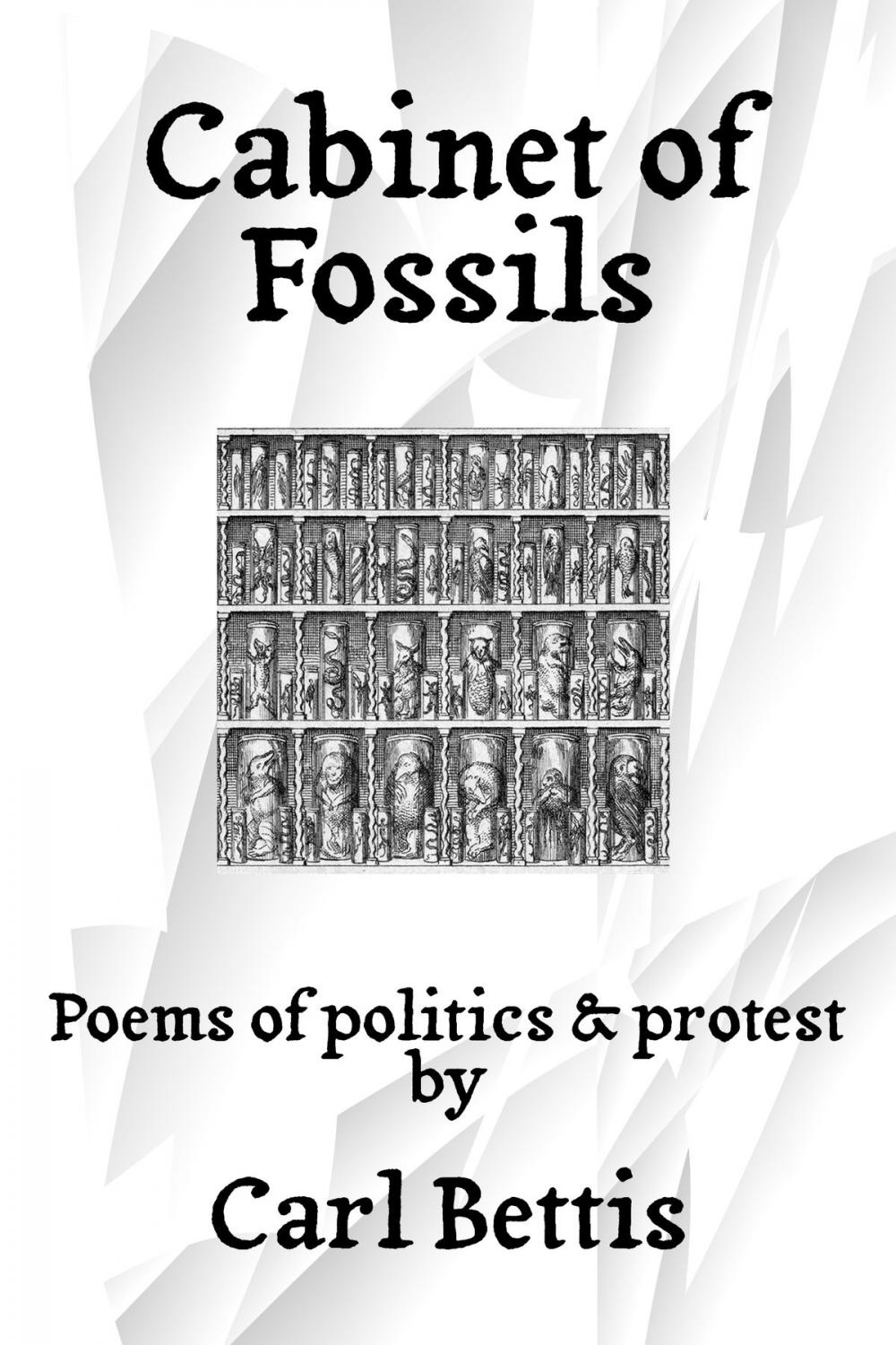 Big bigCover of Cabinet of Fossils: Poems of Politics & Protest