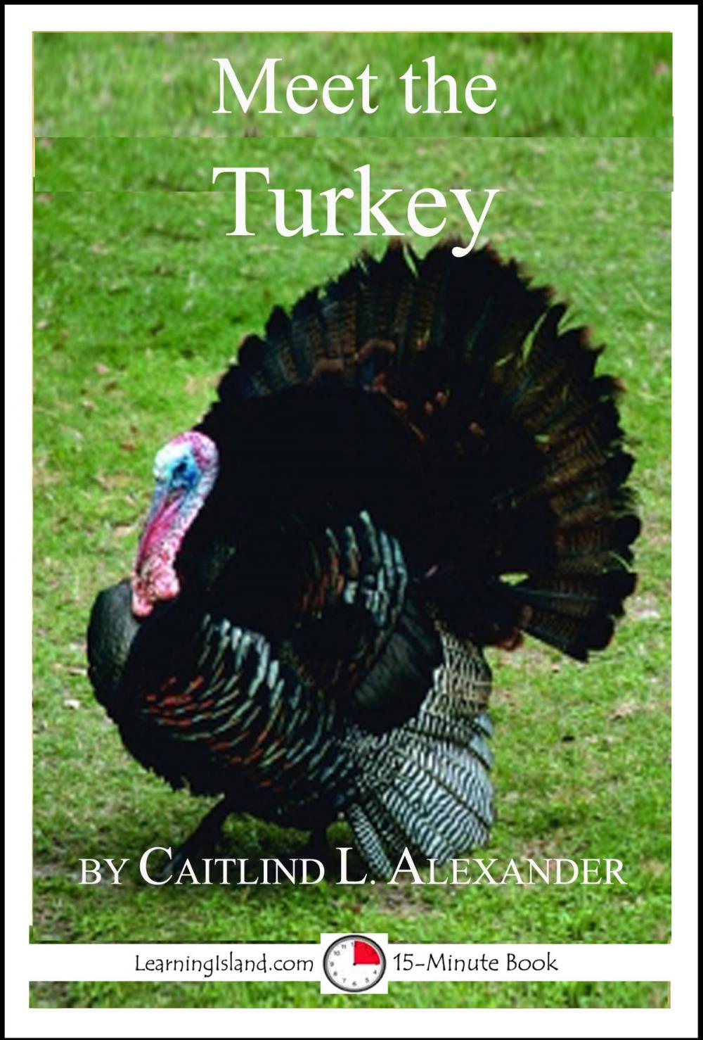 Big bigCover of Meet the Turkey