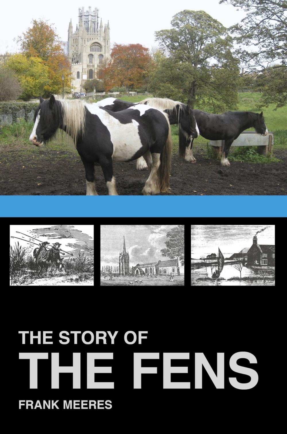 Big bigCover of The Story of the Fens