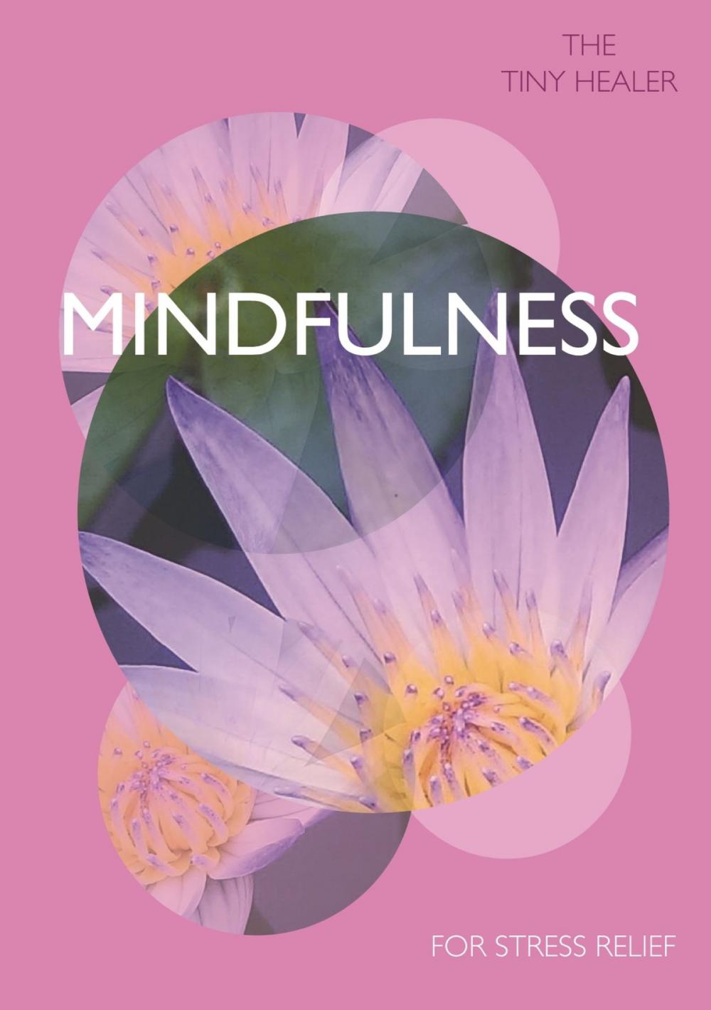 Big bigCover of Tiny Healer: Mindfulness