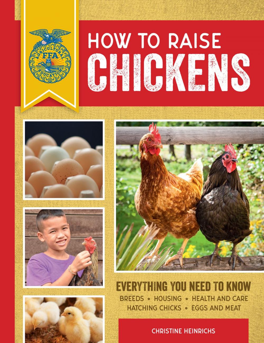 Big bigCover of How to Raise Chickens