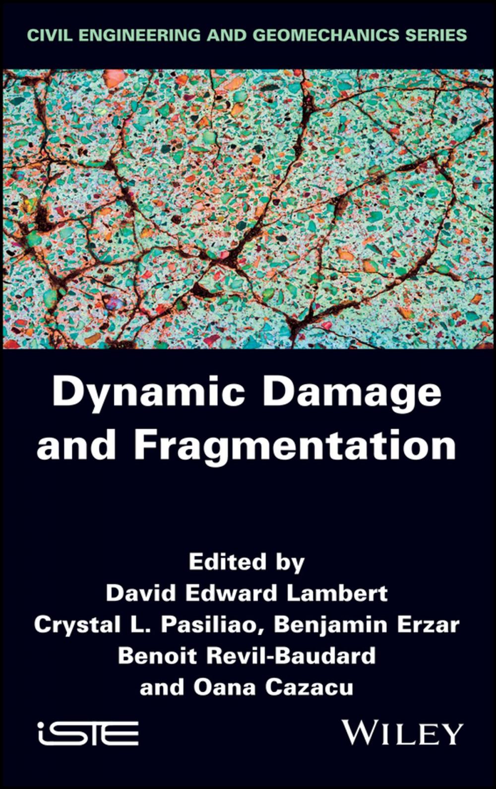Big bigCover of Dynamic Damage and Fragmentation
