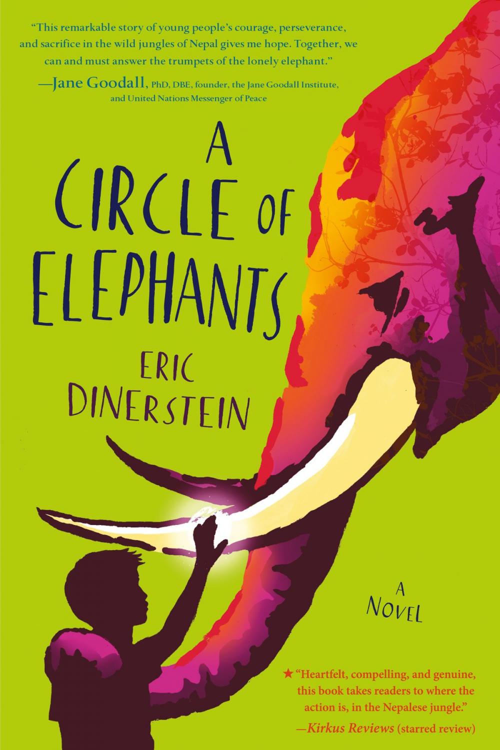 Big bigCover of A Circle of Elephants