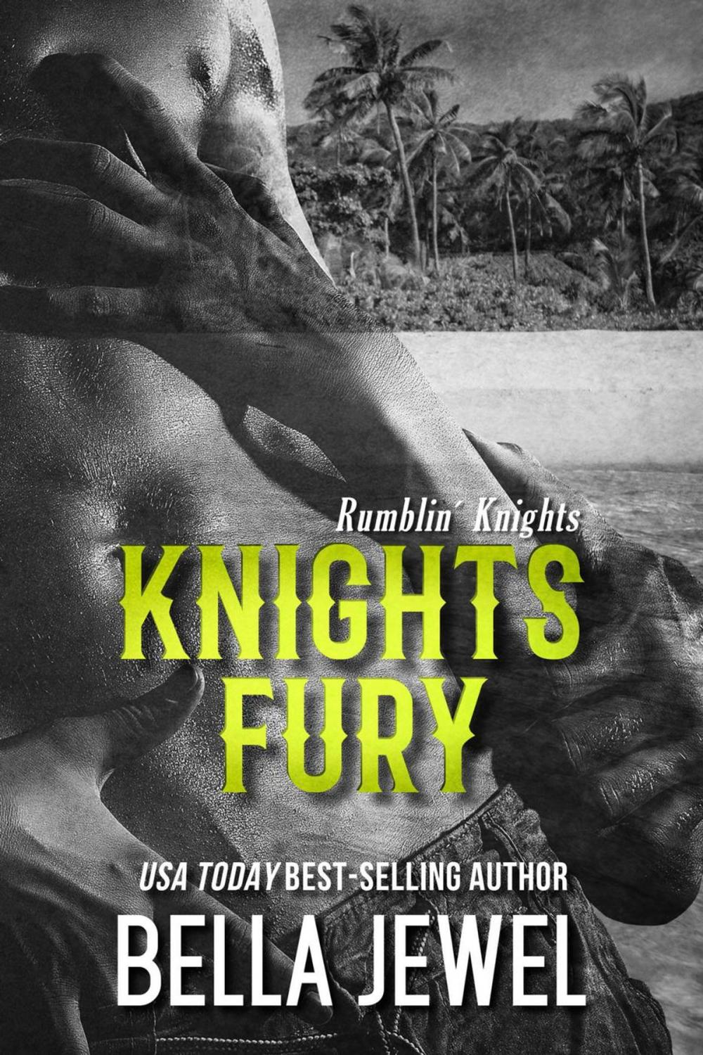 Big bigCover of Knights Fury