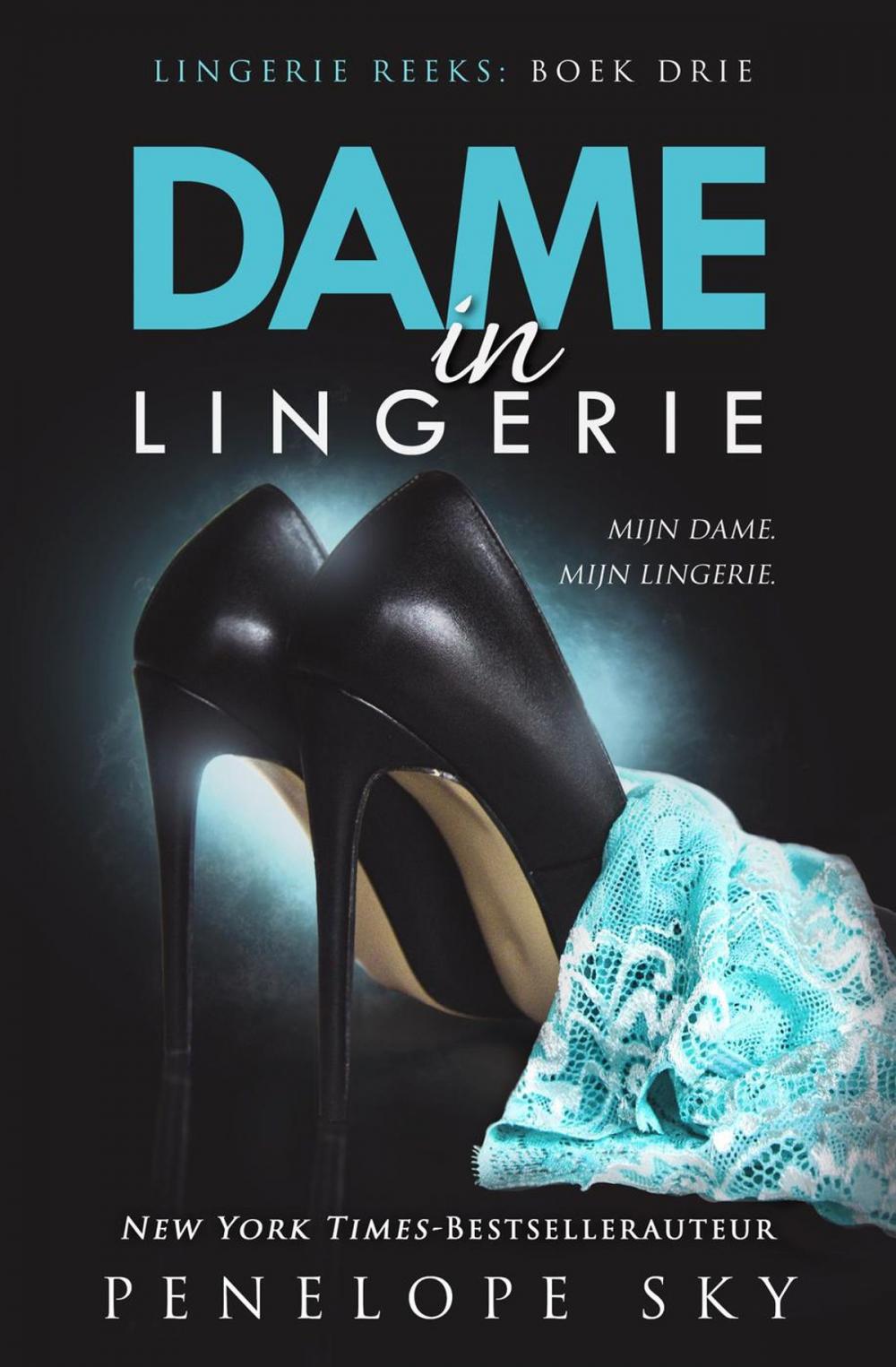 Big bigCover of Dame in Lingerie