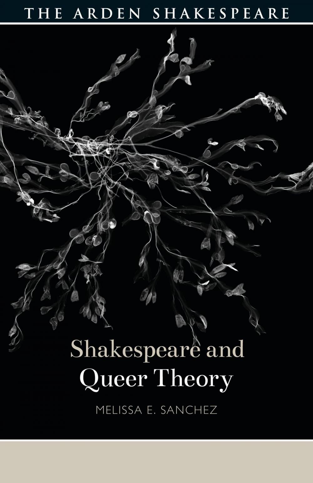 Big bigCover of Shakespeare and Queer Theory