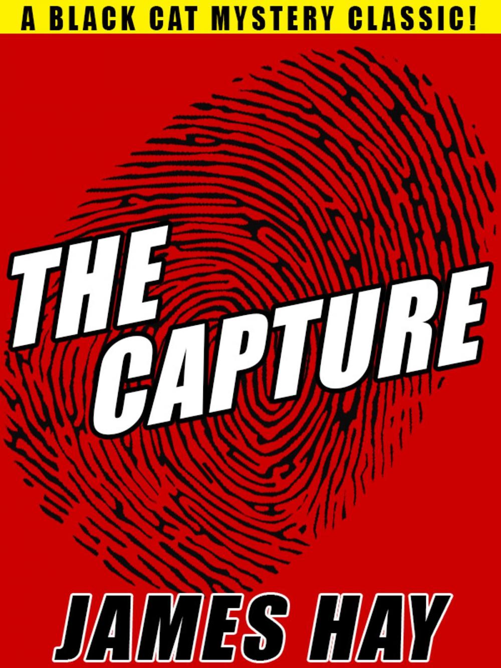 Big bigCover of The Capture