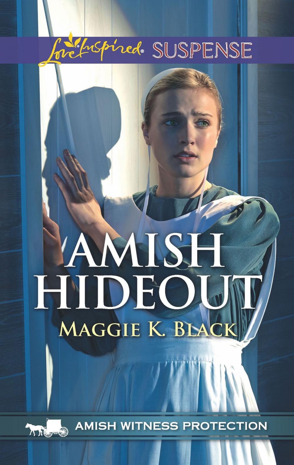 Big bigCover of Amish Hideout