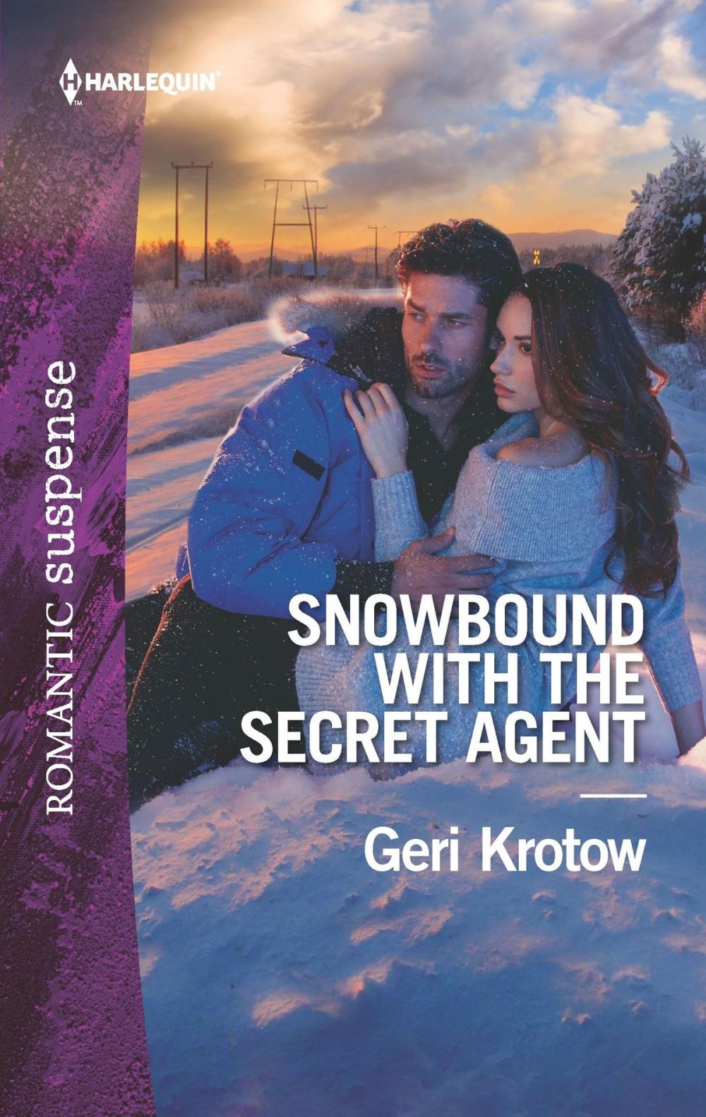 Big bigCover of Snowbound with the Secret Agent