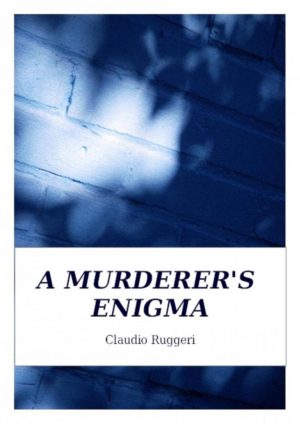 Big bigCover of A Murderer's Enigma