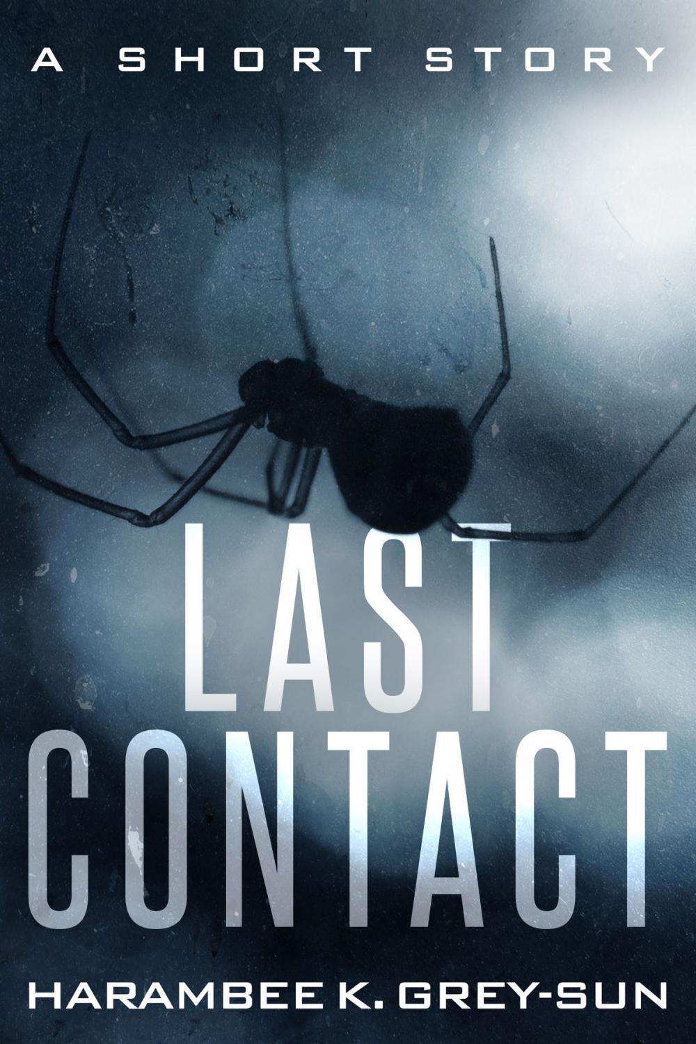 Big bigCover of Last Contact