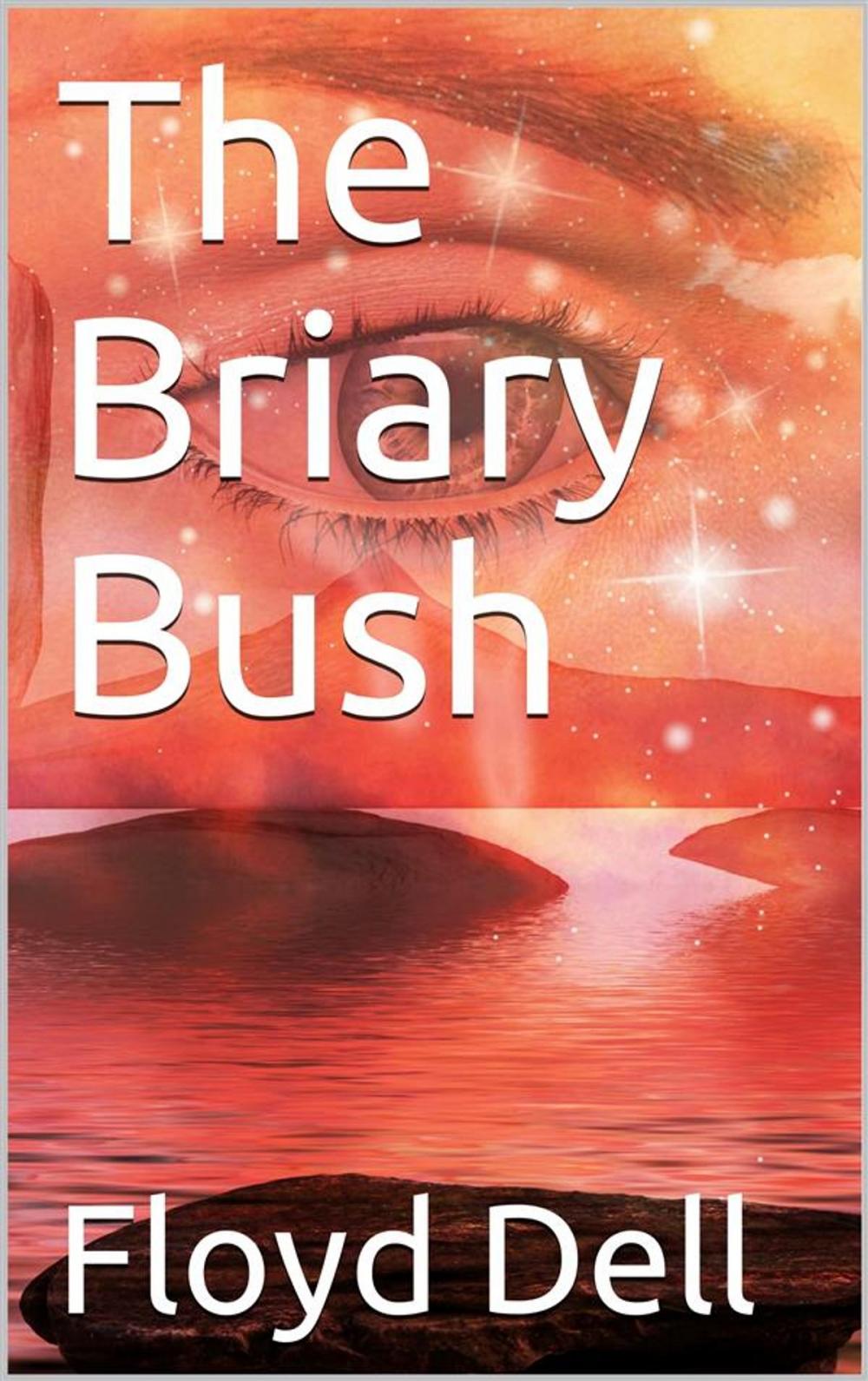 Big bigCover of The Briary Bush