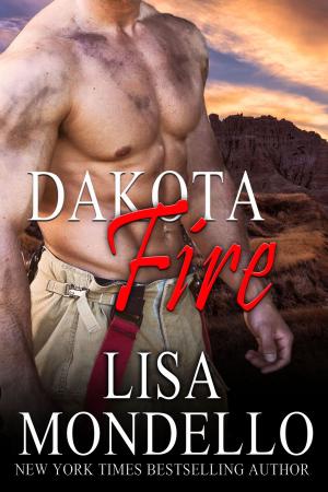 Cover of the book Dakota Fire by Hazel Hunter