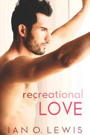 Cover of the book Recreational Love by Robert J. McCarter