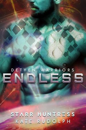 Cover of the book Endless by Kate Rudolph, Starr Huntress