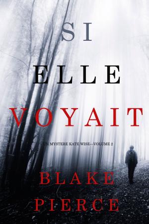 Book cover of Si elle voyait (Un mystère Kate Wise—Volume 2)
