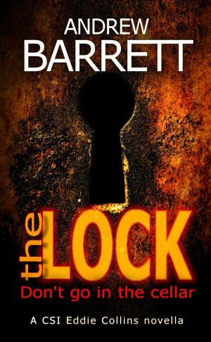 Cover of the book The Lock by Terry Trainor