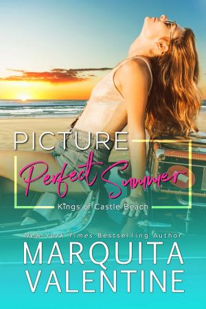 Book cover of Picture Perfect Summer