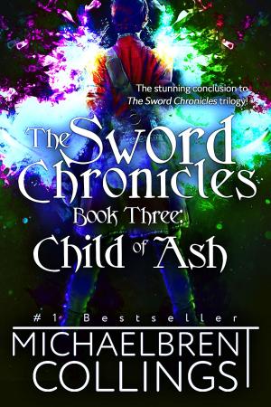 Book cover of Child of Ash