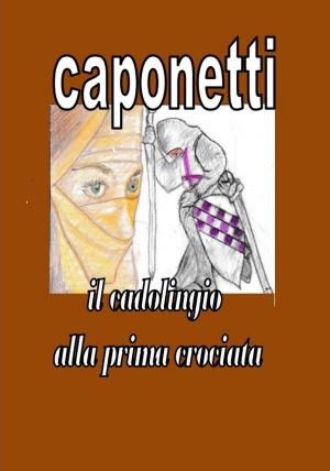 Cover of the book il cadolingio alla prima crociata by Bella Starz