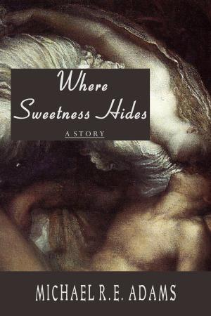 Cover of the book Where Sweetness Hides by L.E. Smart