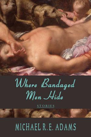 bigCover of the book Where Bandaged Men Hide by 