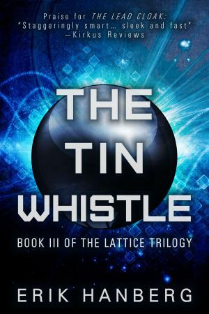 Book cover of The Tin Whistle
