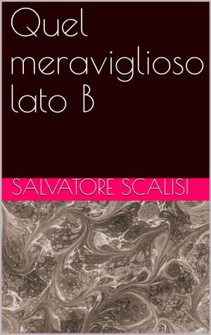 Cover of the book Quel meraviglioso lato B by Simone van der Vlugt